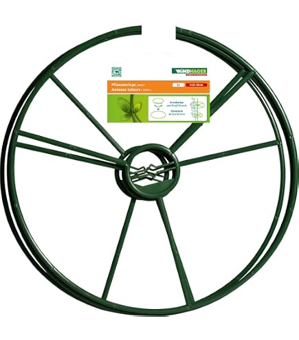 Dehner Pflanzensttzen,  40 cm, 3 Stck, Grn : Amazon.de: Garten