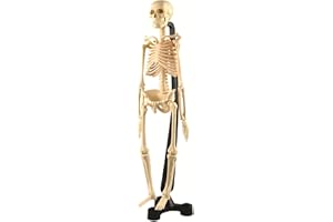 TickiT 03062 Mini Skeleton Model