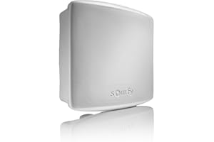 Somfy 2400556 - Récepteur Portail/Porte de Garage extérieur Universel | Technologie RTS