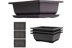 C CRYSTAL LEMON Pack of 3 Bonsai Pots with Humidity Trays for Indoor Plants – Bonsai Pots with Drainage Tray and Built-In Mesh – Durable Plastic Bonsai Tree Pot with Irrigation Holes – 9"D x 6.7"W x 3"H