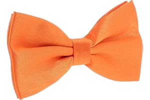 cravateSlim Noeud Papillon Homme Couleur Unie - Accessoire Chemise et Costume - Mariage, Cérémonie