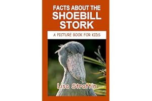 Facts About The Shoebill Stork (A Picture Book For Kids, Band 81)