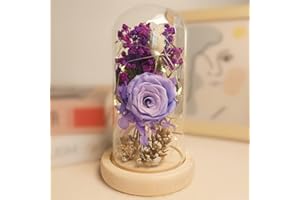 UNIQICON Rosa Eterna, La Bella e La Bestia Rose Incantate,Elegante Cupola di Vetro con Base Pino Luci LED, Romantico Kit di Rose, Regalo per Donne, Mamma, Fidanzata, Anniversario, Matrimonio, Coppia Amica