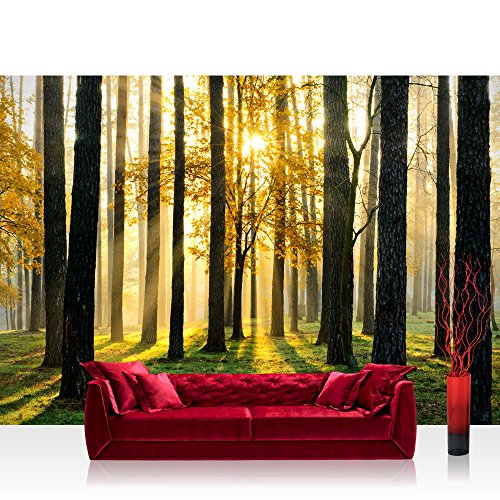 Vlies Fototapete 350x245 cm PREMIUM PLUS Wand Foto Tapete Wand Bild Vliestapete - SUNLIGHT FOREST ll - Wald Bäume Sonnenstrahlen grün grün Ruhe - no. 062