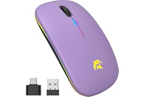 HZD Mouse Wireless, Mouse Bluetooth, Mouse Wireless Ricaricabile, Mouse 2,4 GHz con Mini Ricevitore USB, 1600 DPI Mouse Senza Fili, Mouse Silenzioso, Mauser Wireles Compatibile con Apple, Mac, PC, Lapto