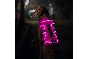 Jewyow Harnais Lumineux pour Chien, Harnais Réfléchissant pour Chiens de Taille Moyenne et Grande Taille, Rechargeable, avec 4 Sangles Réglables, 3 Modes, Imperméable-Rose-L