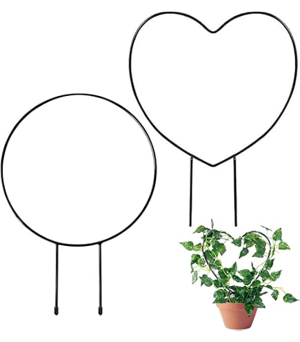 5 Stck Rankhilfe Zimmerpflanzen Metall  Herz & Rundform Rankgitter Fr  Kletterpflanzen, Balkon & Garten (20x28cm, 31x23cm)
