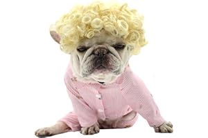 TESSVEYA Funny Hund Perücke, Katze Rollenspiel Perücke, Halloween, Weihnachten, Partys, Fest für Haustiere Perücke, kleine, mittlere und große Hunde Perücke (Goldene Haare)