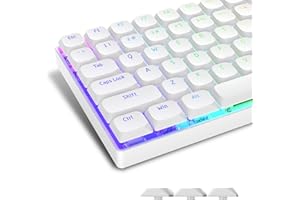 XVX Womier Low Profile Keycaps, Shine Through Keycaps, Custom Keyboard Keycaps, Keycaps 75 Prozent Full Keycaps for 60% 65% 75% 80% 100% Cherry Gateron MX Switches Mechanical Keyboard, White Backlight