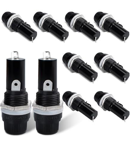 Fusibili In Vetro 250mA 250V 5x20mm: 10 Pezzi, Azione Ritardata (M), Per Elettronica E Apparecchi
