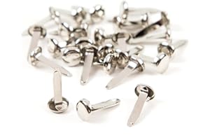 TENGEE 100 Stück Rundkopfklammern,Musterklammern Klein,Musterbeutelklammern Silber,Musterklammern Silber,Mini Brads,Brads,Material Eisen,Geeignet für DIY Scrapbooking Basteln,DIY Handwerk