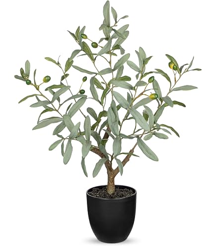 Künstlicher Olivenbaum 70 Cm – Mit Stämmchen, 8 Früchten & Topf, Täuschend Echte Deko-Pflanze Für Innen
