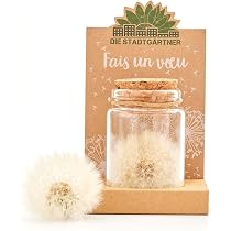 Lot De 24 Porte-bonheur Trèfle à 4 Feuilles Avec Cartes & Sachets - Cadeaux Nouvel An, Noël, Anniversaire - Symbole Bonheur & Succès