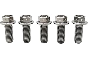 RISON-Titanium Tornillos de Brida de Titanio M8x1.25x20mm, 5 Piezas Tornillos de Cabeza Hexagonal con Reborde, Tornillos de Máquina Cabeza Allen, Accesorios de Modificación para Motocicleta, Bici