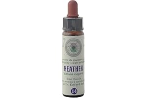 Heather Nr. 14 Flores de Bach Original Farmaflor