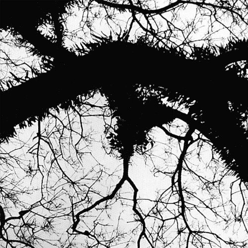 Preisvergleich Produktbild Evolver