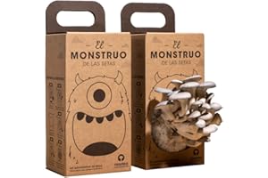 Le Monstre des champignons de Resetea