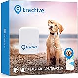 tractive spare battery