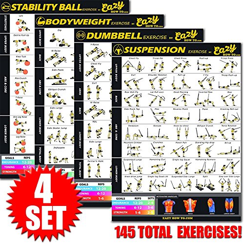 Eazy How To 4 Pack Bundle Übung Workout Poster Big 20 x 28 Zug Ausdauer, Ton, Build Kraft & Muskel Home Fitness-Diagramm