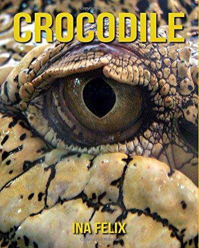 Télécharger Crocodile: Le livre des Informations Amusantes pour Enfant & Incroyables Photos d’Animaux Sauvages Francais PDF