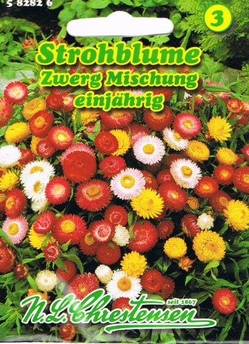 Strohblumen Zwerg Mischung Helichrysum bracteatum Trockenblume