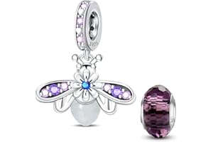 HappyStar Charme Argent Sterling 925 Femmes Perles Charm,Compatible PourPandora & Européen les bracelets et les colliers Charms de,Perles d'espacement gratuites