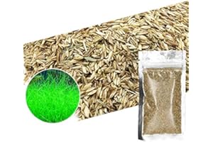 T-SHIN Aquarium Grass Plants Seeds,Aquatic Fescue Carpet Water Grass,Oxygenating Weed Live Pond Plant Seeds,Fish Aquatic Water Grass Decor,Easy to Plant Grow Maintain-10G (Green-SF)