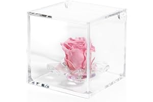 DC DEBORA CARLUCCI Debora Carlucci Rosa Stabilizzata Vera con 4 Petali in Cristallo Eterna in Cubo Idea Regalo Donna Compleanno Anniversario Matrimonio Festa della Mamma Bomboniera Blu-Bianco-Rosa-Rossa (Rosa)