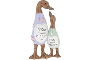 Shudehill Giftware Daisy Message Cute Wooden Duck Ornament - Mum, Nan, Friends, Family and More Sentimental Messages, Gift Ideas For Her (Nan)