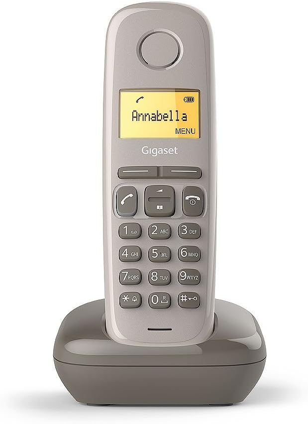 Gigaset A170 Solo - Teléfono Fijo inalámbrico DECT/Gap (versión Francesa)