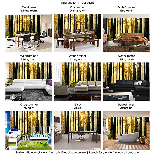 Vlies Fototapete 350×245 cm PREMIUM PLUS Wand Foto Tapete Wand Bild Vliestapete – SUNLIGHT FOREST ll – Wald Bäume Sonnenstrahlen grün grün Ruhe – no. 062 - 5