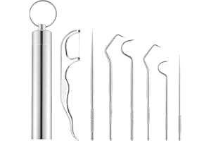 DBALL 7 Piezas Palillo de Dientes de Acero Inoxidable Metal Que se Puede Reutilizar Palillo de Dientes Kit con 1 Contenedor de Palillo per Picnic Camping