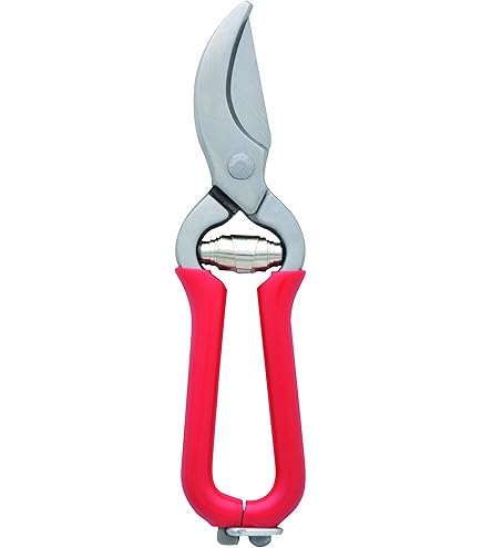 TOPANBIETER999 Sécateur De Jardin S 14 Cm Sécateur à Fruits