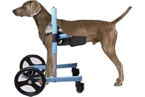 FOUNCY Dog trolleys on wheels Dog Wheelchair Dog Wheelchair for the Front Legs to Support Small, Medium and Large Dogs, Wheelchairs for Disabled Dogs, Support for Walking, Mobility Aids for Dogs(M)