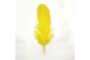 GENERIC Natürliche Federn Gänsefedern, ca. 15-20 cm, 10 Stück, Gelb - Kopper-24 Gans Schwanzfedern Schmuck Dekoration Bastelfedern für Hochzeit Karneval Party Deko Kostüme Natur Basteln