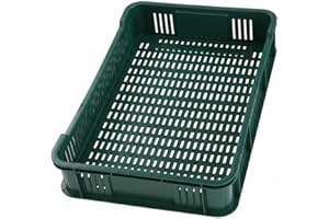 HaGa Scatola di immagazzinaggio, 59 x 39,5 x 11 cm, verde, 10 kg, impilabile, in plastica, per mele, per frutta e verdura