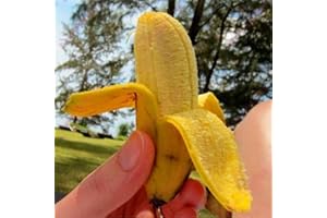 Haloppe 100pcs graines de Fruits de Banane pour la Plantation de Jardin à la Maison, graines de bananier Nain Mini bonsaï Fruits Maison Jardin Bureau Plante décor Graines de Banane