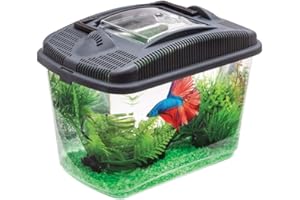 Aquael 114563 Betta Kit, czarny, 790 g