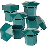 Exbuster Schneckenschutz: 6er-Set Premium Bio-Schneckenfallen ohne Chemie und Gift (Schneckenabwehr)