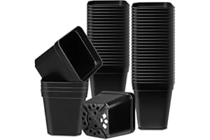 Muzhira Pots pour Semis 7cm 50 Pièces - Carrés en Plastique Réutilisables pour Pépinière, Repiquage et Culture - Plantation Intérieure et Extérieure