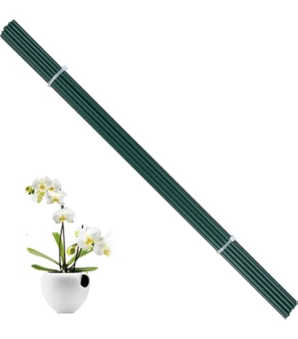 Pflanzenstützen Set 20 Stück – Grüne Metallstäbe 40 Cm Für Tomaten, Orchideen & Kletterpflanzen