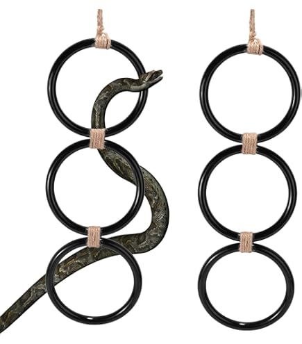 Snake Enrichment Toys Snake Climbing Chain Hoop - For Ball Pythons & Corn Snakes Reptile Jungle Gym