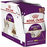 Royal Canin Sensory Smell Gravy 85 Grx12 Canned Cats