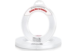 Thrilez Clear Fishing Wire, 200M Fishing Line Invisible Monofilament Wire, Strong Nylon String for Balloon Arch Garland Hanging Crafts Beading