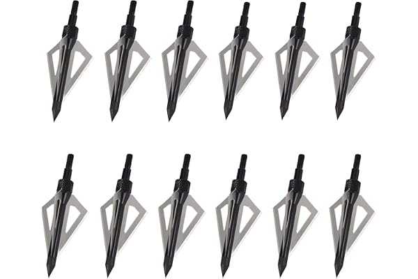 ELONG OUTDOOR 12 pièces de Pointes de ballette, Pointes de 100 Grains avec 3 Lames en Acier Inoxydable pour Chasse et tir à l'arc et Arbalète Traditionnelle