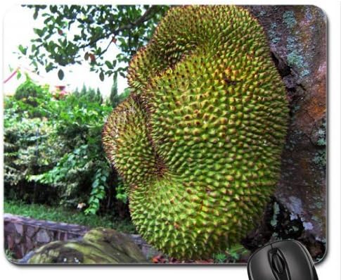 Jackfruit Mouse Pad, Mousepad (Forests Mouse Pad)