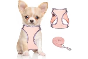 Doggiekit Arnés para perros pequeños con correa ajustable con paso reflectante para cachorros arnés para perros malla transpirable chaleco suave acolchado para tamaño mediano pequeño