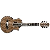 Ibanez EWP Series EWP14WB Electro-acoustic guitar -Open Pore 