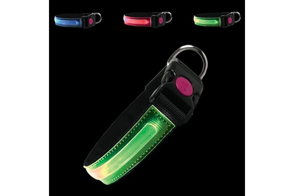 PETTY LED Hundhalsband - Opladdningsbar USB-halsband med spänne och säkerhetsknapp för små, medelstora och stora hundar (XL