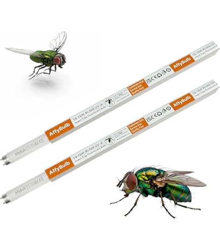 Starter Philips S2 Per Lampade Fluorescenti - 4-22W, Ecoclick, Confezione Da 1 Pezzo